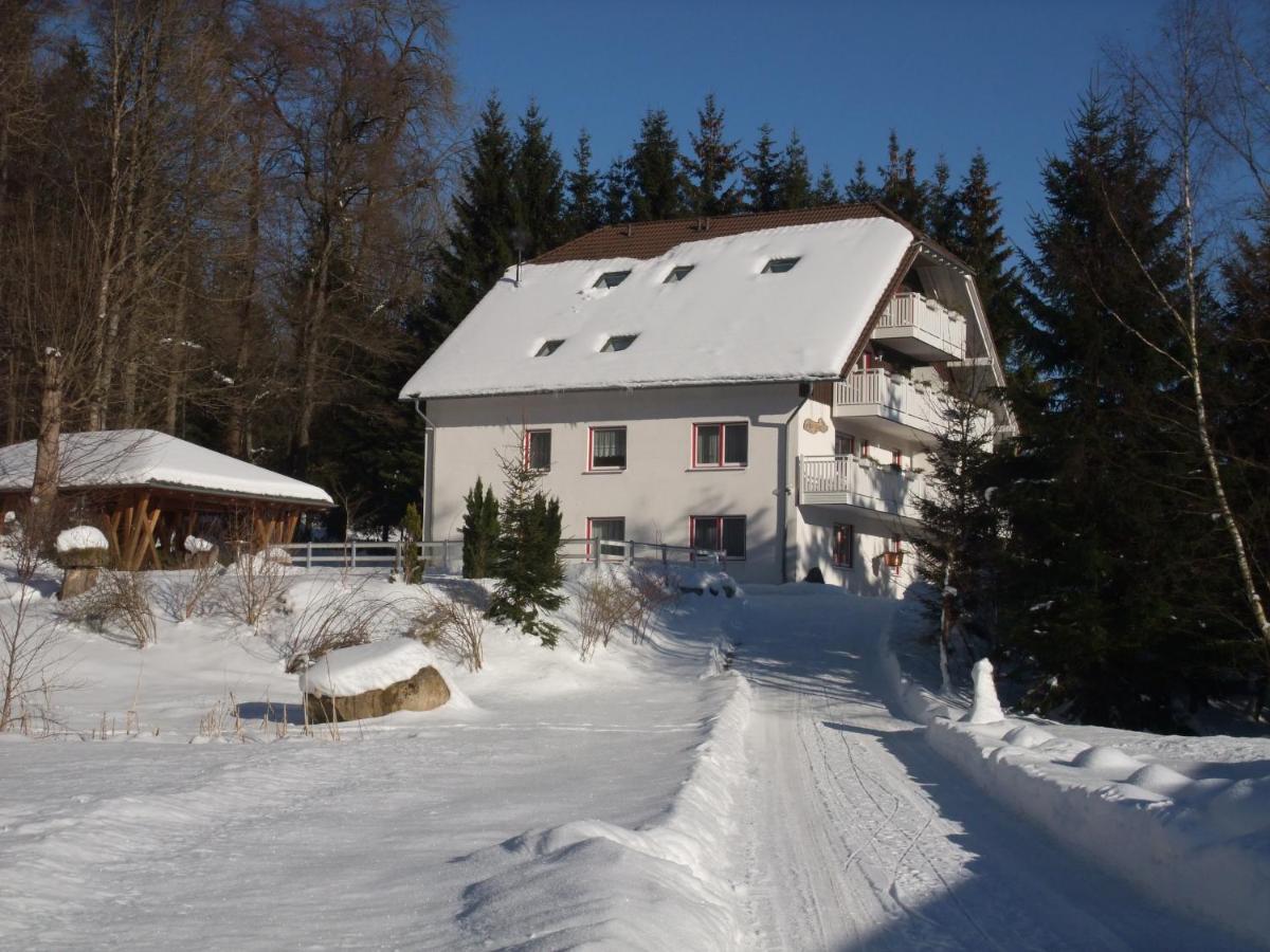 Ferienhaus Hubertus In Elend Mit Balkons Bagian luar foto